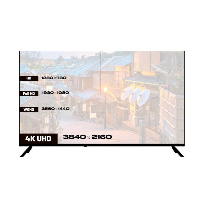 Ecran PC Grand Format - JAPANNEXT - 50