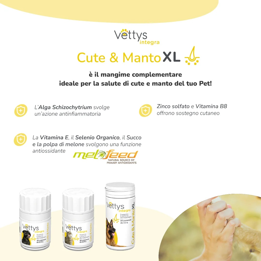 VETTYS Vettys Integra Skin & Coat XL 30 tabletten