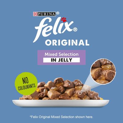 Felix Original kapsičky 40 x 100 g