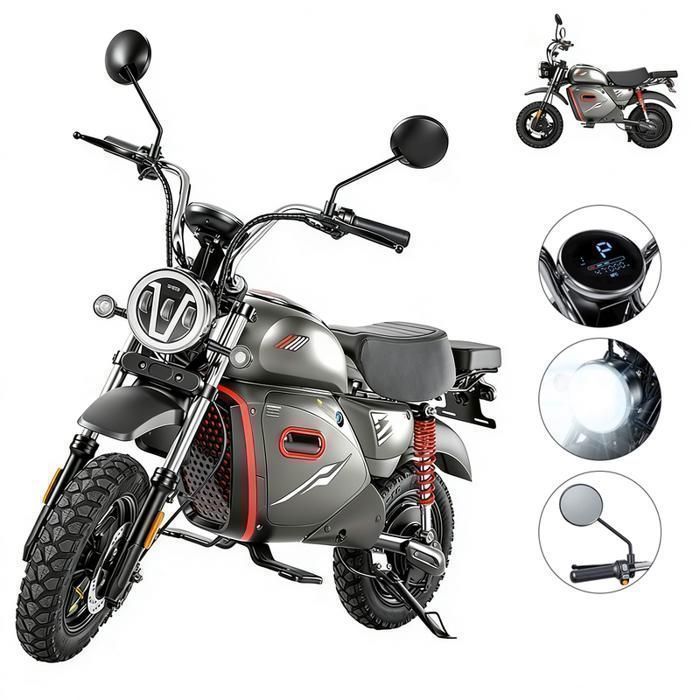 Vélo électrique SD-V9-15''-2000W-4 vitesses-Autonomie 90KM-150 KG-Boîte de rangement (avant)-Tout Terrain