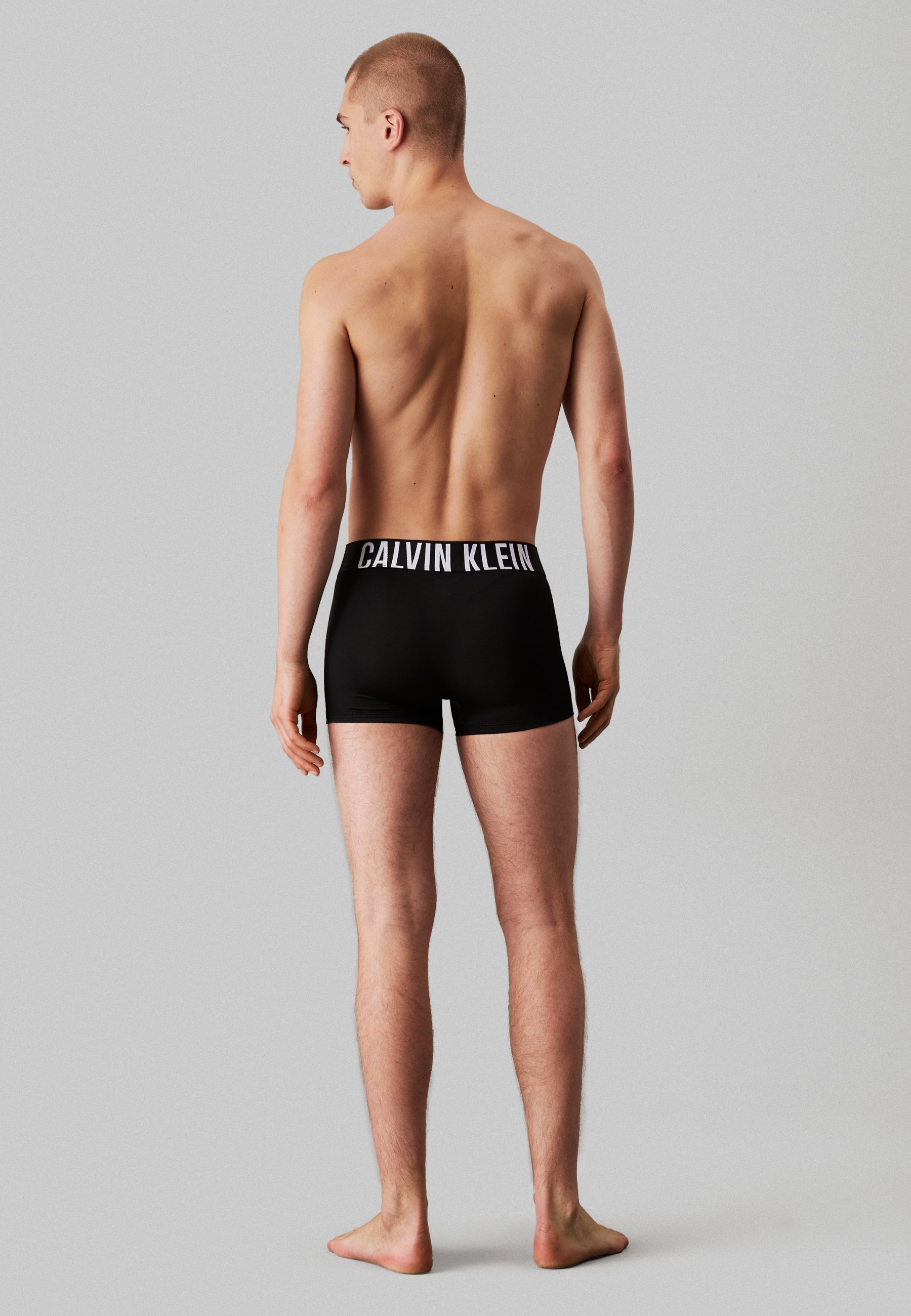 Calvin Klein Underwear TRUNK INTENSE POWER 3-PACK - Boxershorts - mistig grijs/wit/bloesemgroen