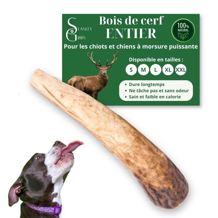 Asta de ciervo entera para que los perros la mastiquen, tamaño M, premio para cachorros y perros de todas las edades, juguete para masticar, 1 pieza.