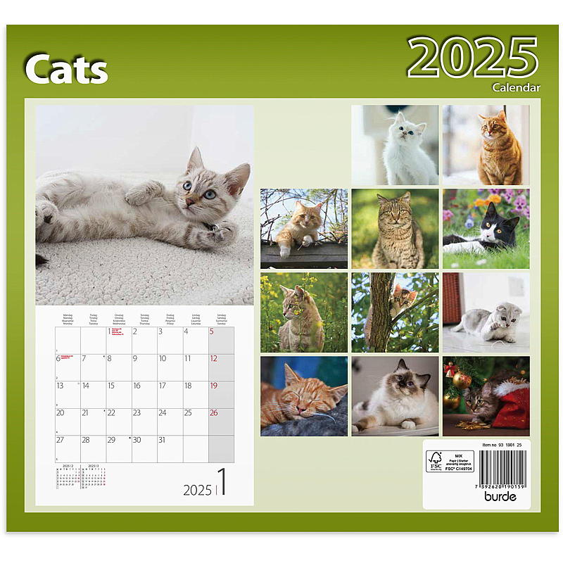 Calendario de pared de gatos 2025