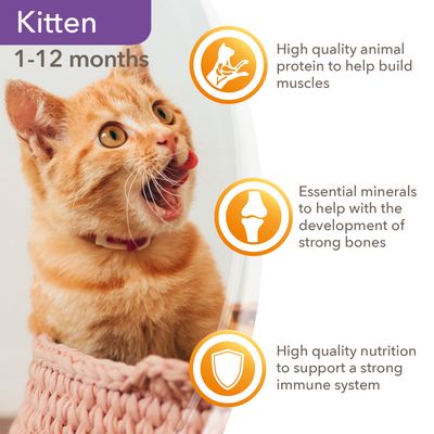 IAMS Delights Kitten – Pollo en salsa