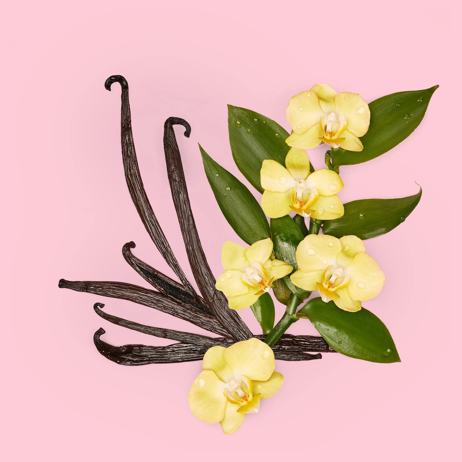 Flora Gorgeous Orchid EDP 30 ml - Gucci