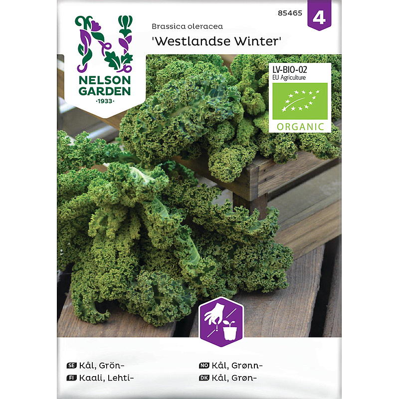 Nelson Garden Seeds Koolgroen, Westlandse Winter