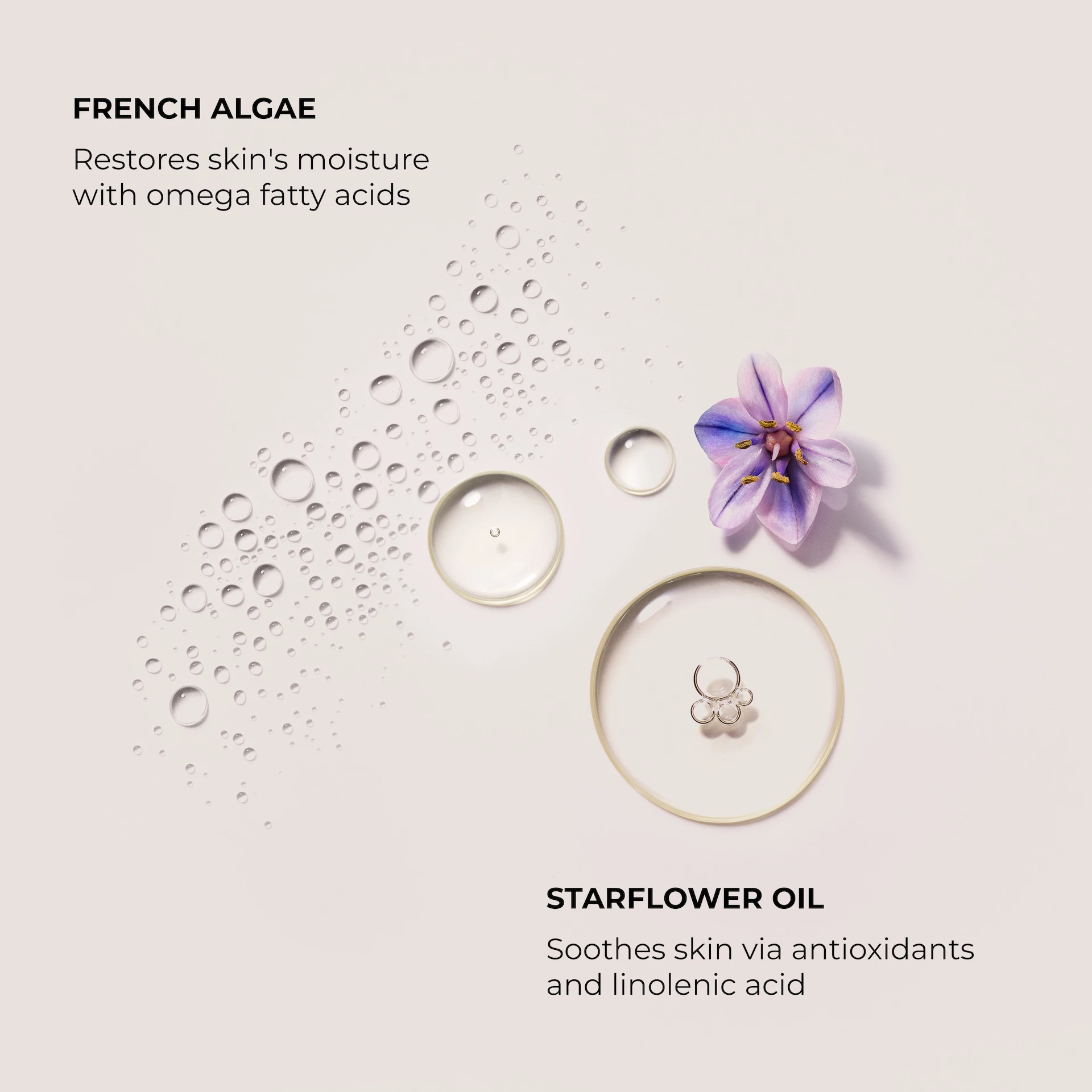 Cremă de mâini Ambre Vanille Soufflé 50 ml - Laura Mercier