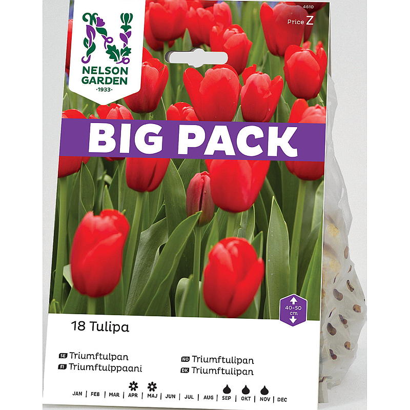 Nelson tuin Herfstbol tulp Triumph rood