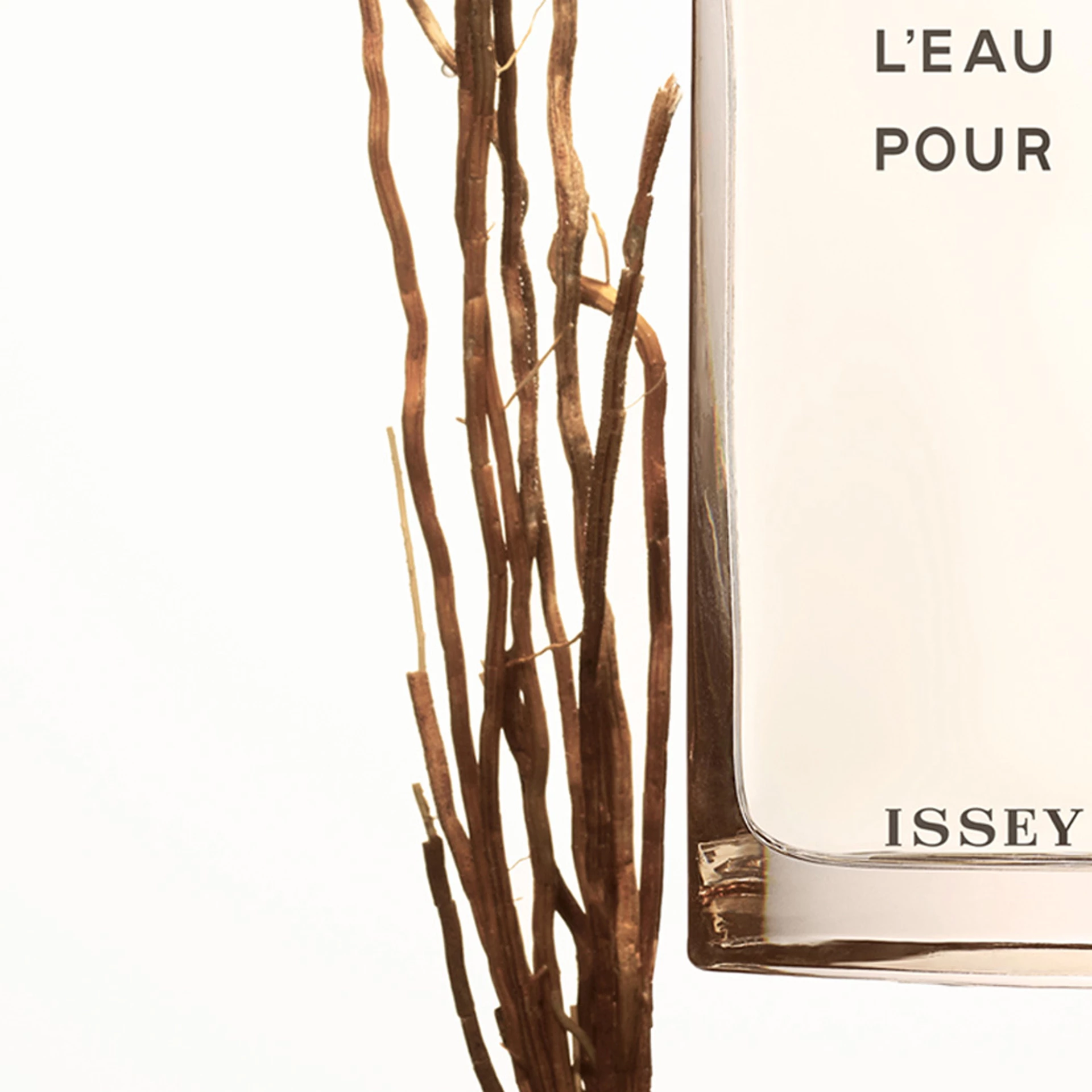 L'Eau D'Issey Pour Homme Vétiver EdT 50 ml - Issey Miyake