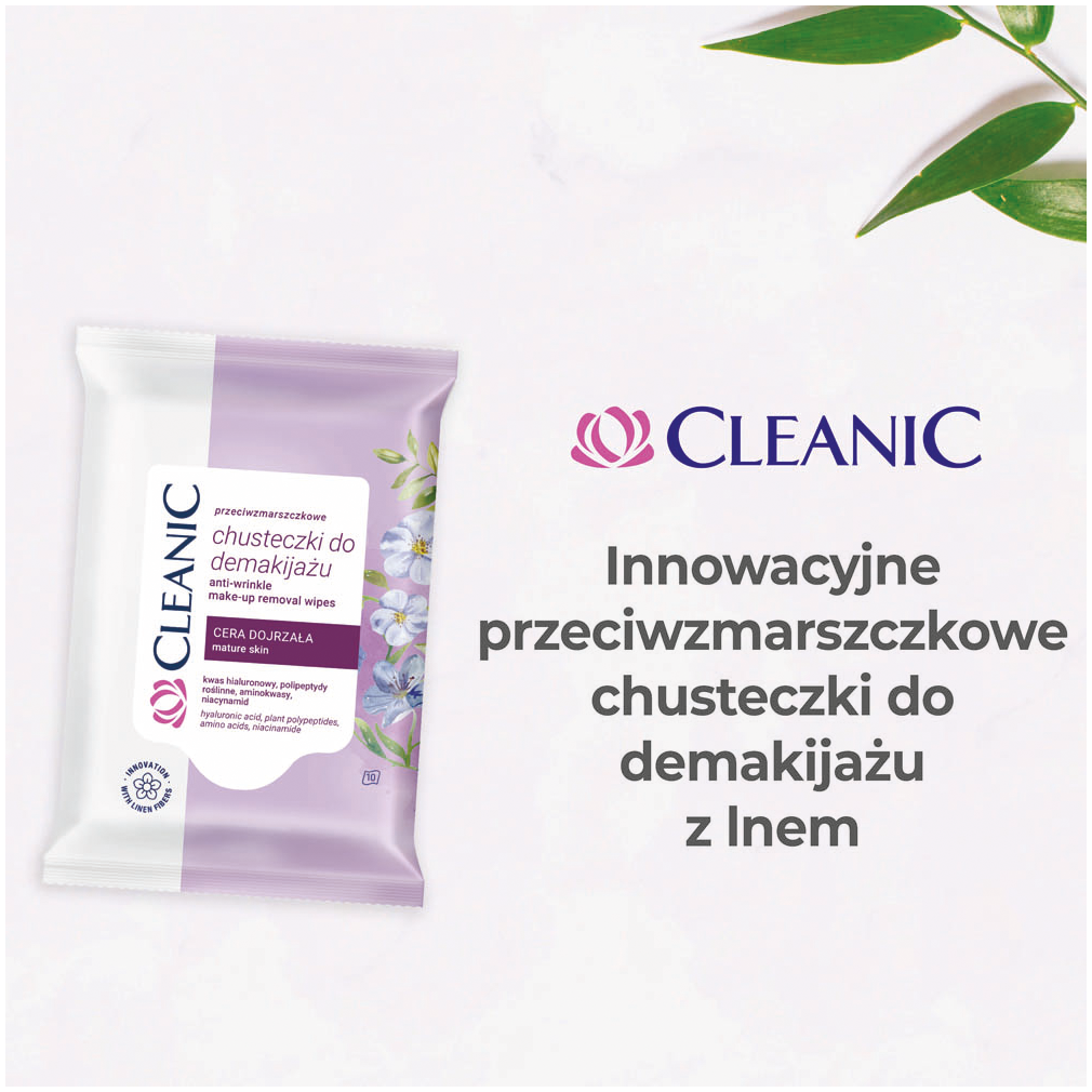 Čistič