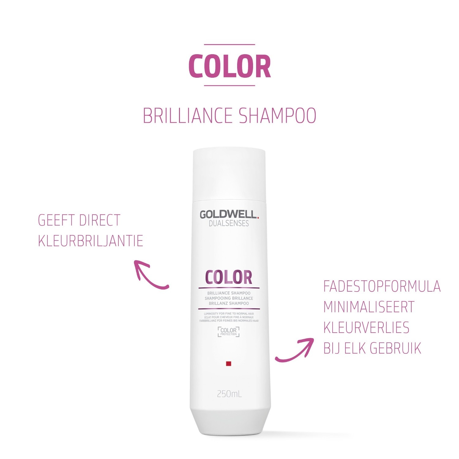 Șampon pentru păr Goldwell Dualsenses Color Brilliance – 250 ml