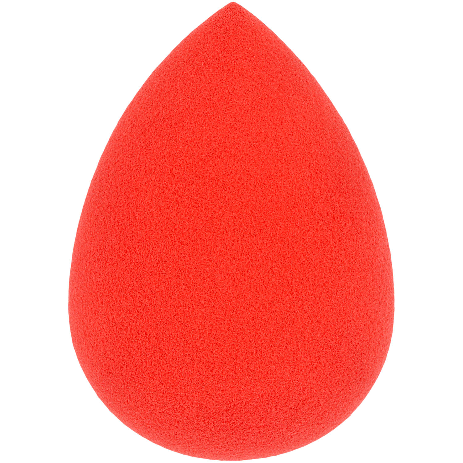 Hebe Professional Makeup Blender