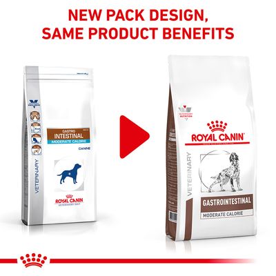 Royal Canin Veterinary Dog - Karma dla psów z problemami żołądkowo-jelitowymi o umiarkowanej zawartości kalorii