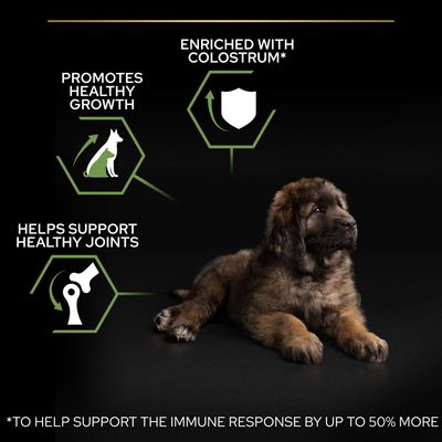 PURINA PRO PLAN Cucciolo di taglia grande e robusto: un inizio sano