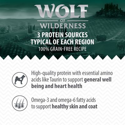 Wolf of Wilderness Adult 