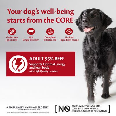 Wellness Core Adult 95 % enkeltprotein våtfôr til hund med storfekjøtt og brokkoli