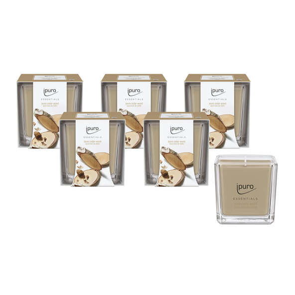 Duftkerze ESSENTIALS ξύλο κέδρου, Σετ 6er