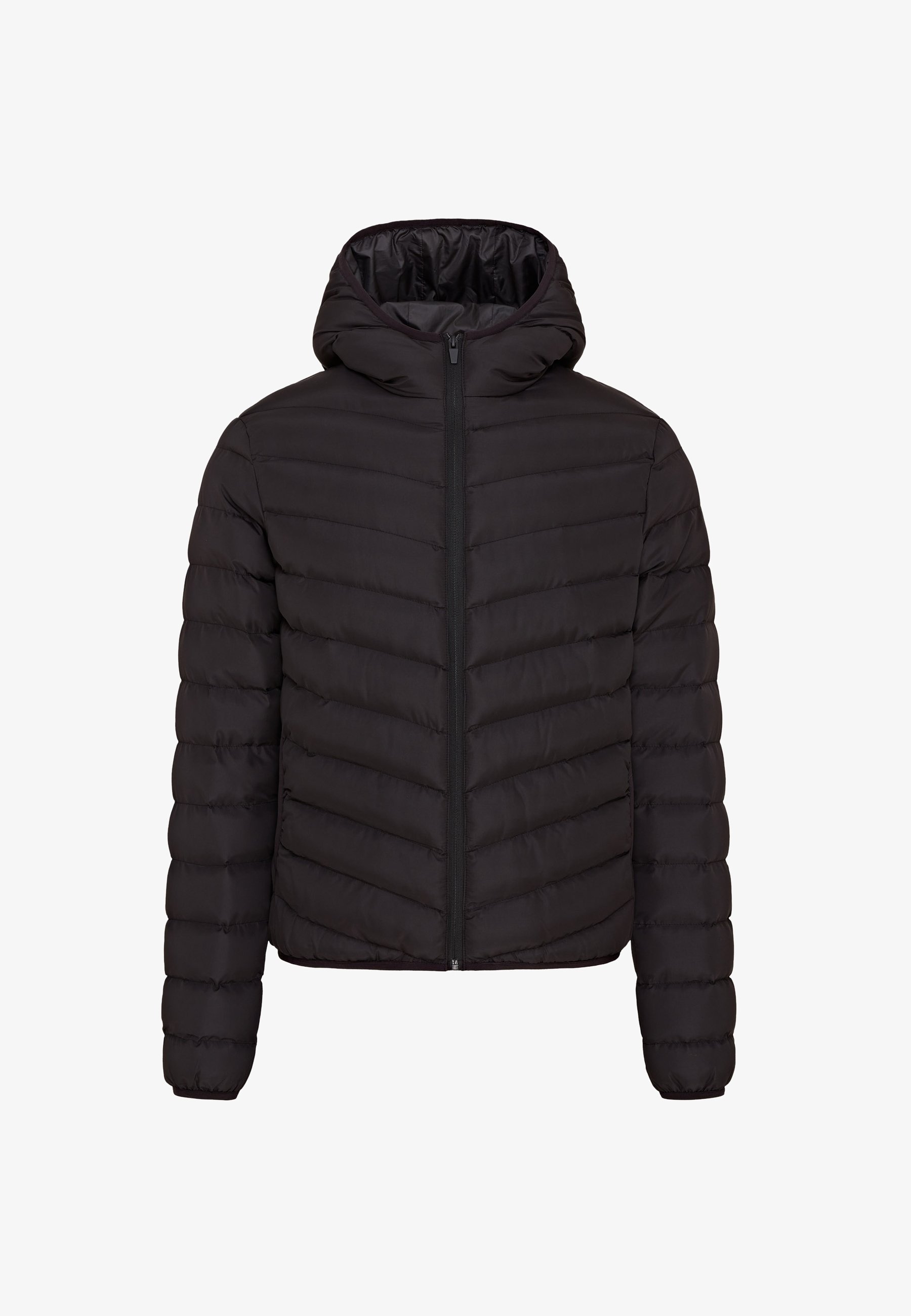 Brave Soul GRANTPLAIN TRANSITIONAL JACKET SLIM FIT - Winterjas - zwart
