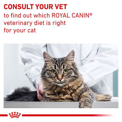 Royal Canin Expert - Mature Consult Balance