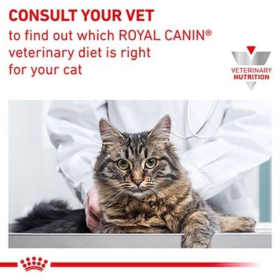 Royal Canin Veterinary Cat - Diabetic DS 46