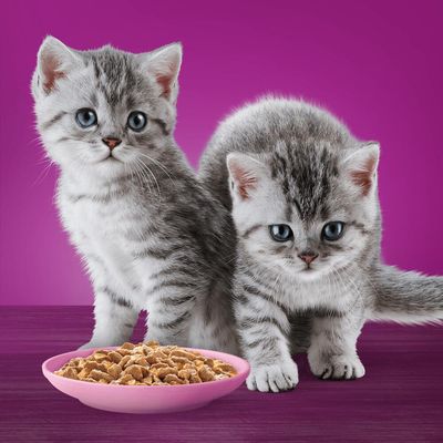 Pliculețe Whiskas pentru pisici în jeleu