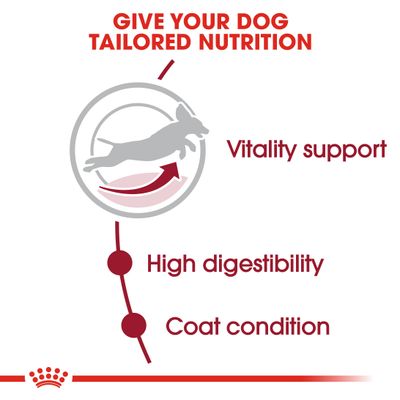 Royal Canin Medium Adult 7+ -koiraruoka