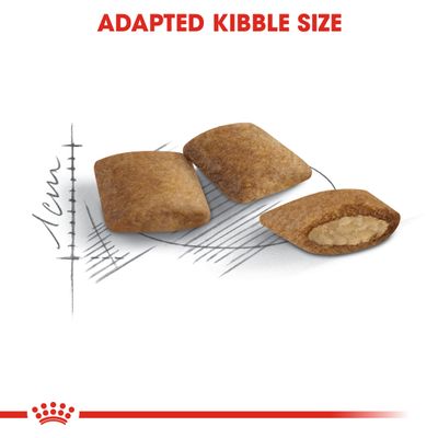 Royal Canin Ageing 12+