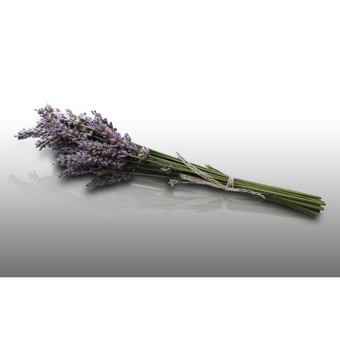 50 graines Aromatiques - LAVANDE VRAIE - True Lavander