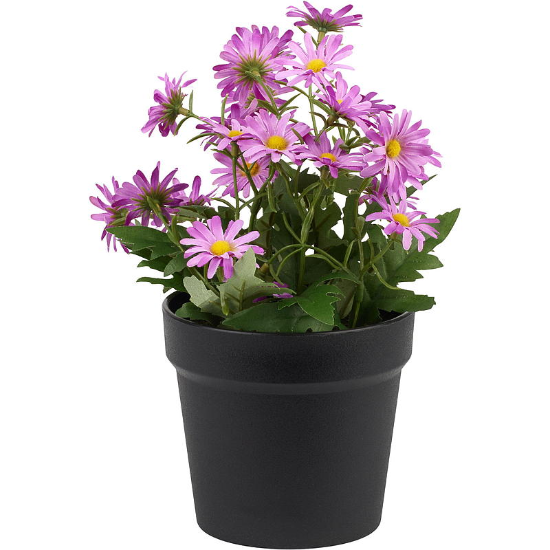 Hjem Daisy 27 cm