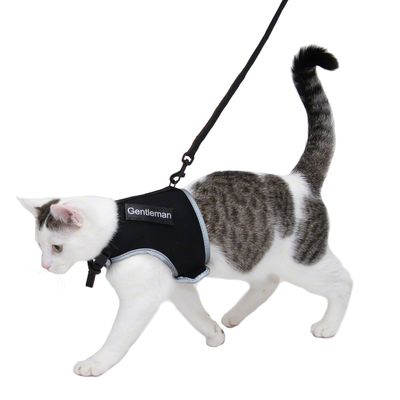 Szelki Trixie XCat XL ze smyczą i ekskluzywnymi naklejkami