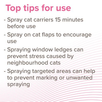 Beaphar CatComfort® Spray Calmante per Gatti