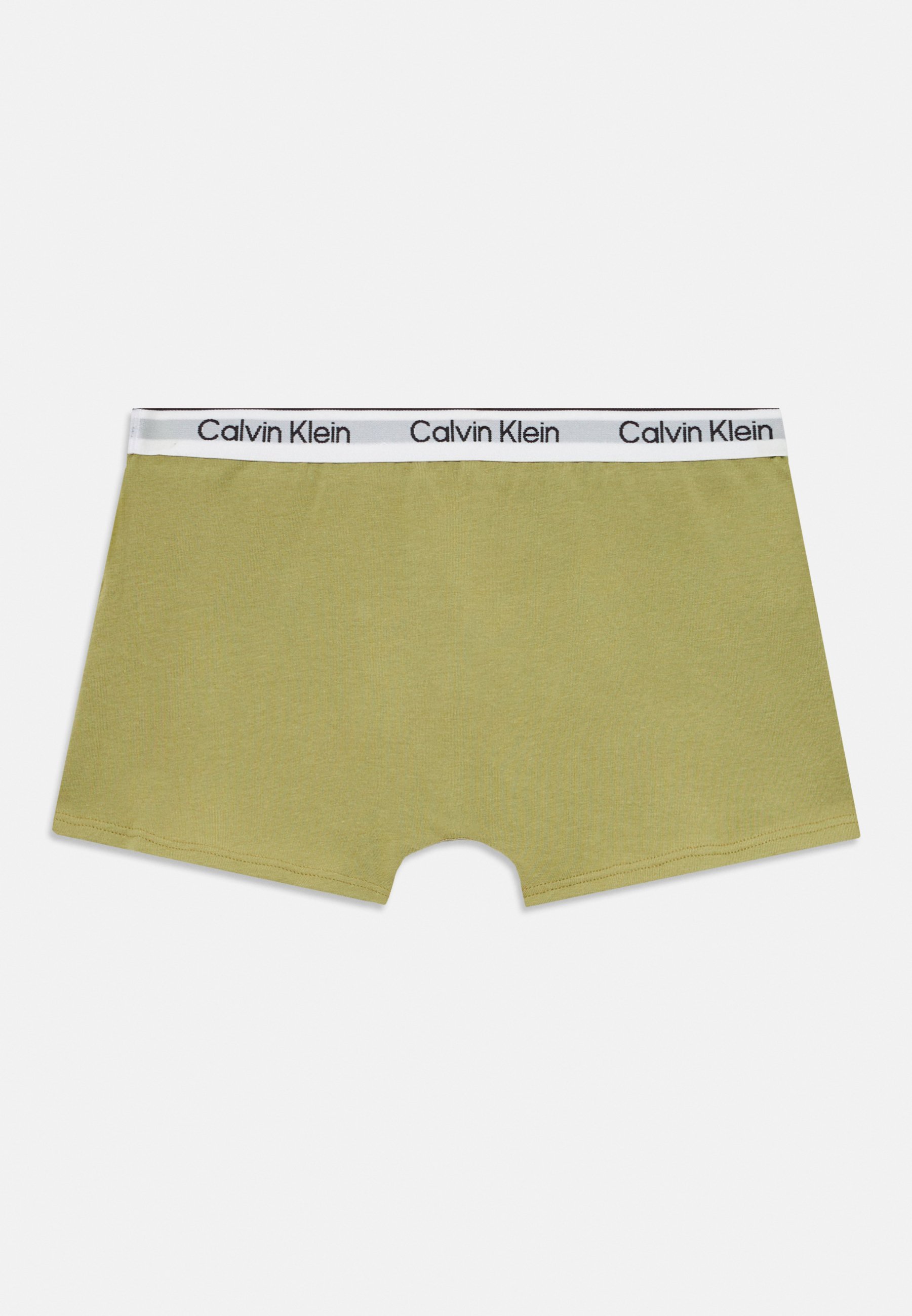 Slip Calvin Klein Underwear TRUNK PACK da 2 pezzi - timo/cedro