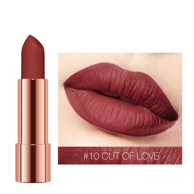 Rouge à lèvres mat velouté soyeux, 12 teintes, nude, marron, rouge, maquillage des lèvres, waterproof, longue tenue, brillant à lèvres, cosmétique femme TSLM1