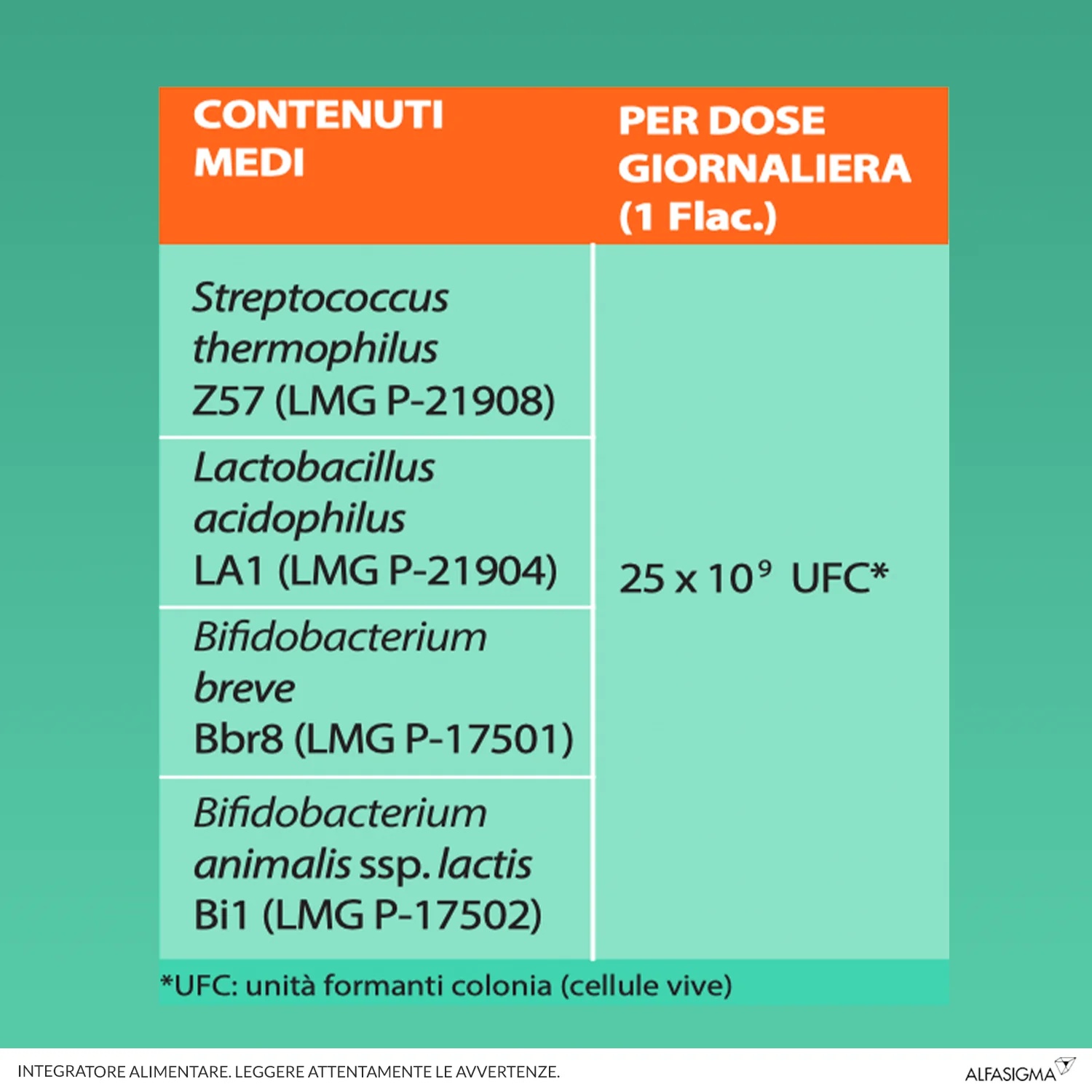 YOVIS Yovis 10 frascos de 10 ml Complemento alimenticio con fermentos lácticos vivos