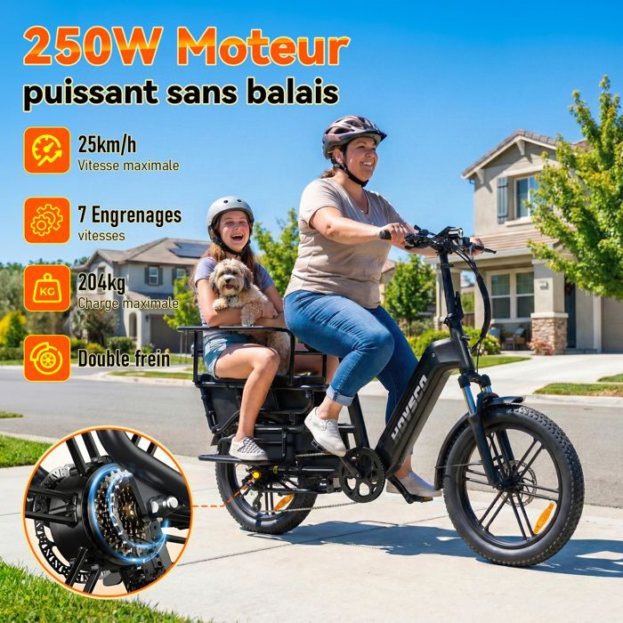 HOVSCO HovCart Vélo Électrique 20