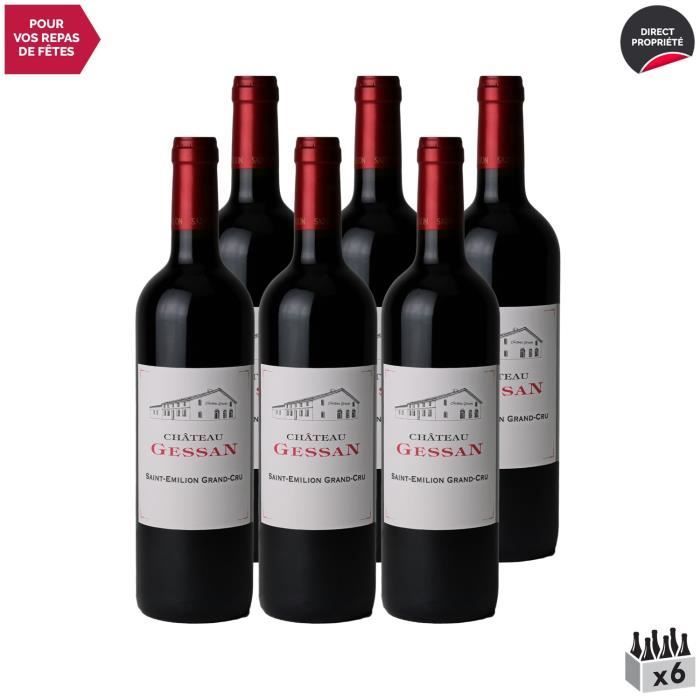 Château Gessan Rouge 2016 - Lot de 6x75cl - Vin Rouge de Bordeaux - Appellation AOC Saint-Emilion Grand Cru - Cépages Merlot,