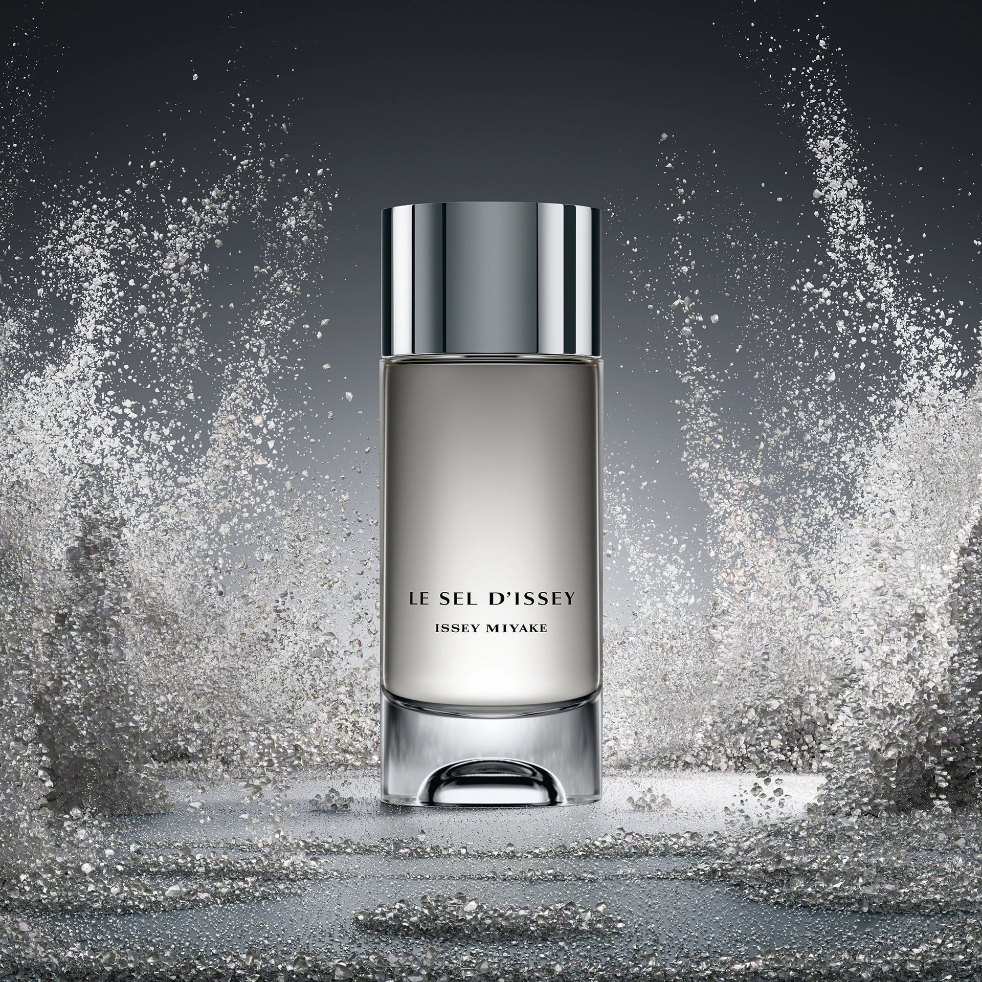 Le Sel D'Issey EdT 100 ml - Issey Miyake