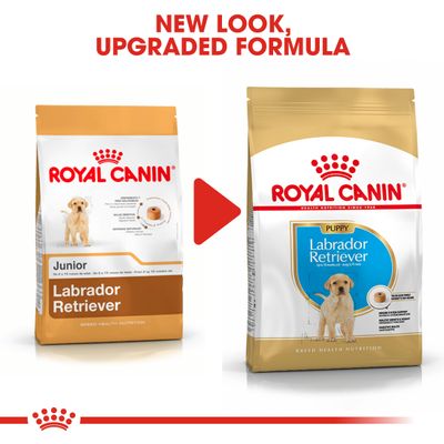 Κουτάβι Royal Canin Labrador Retriever