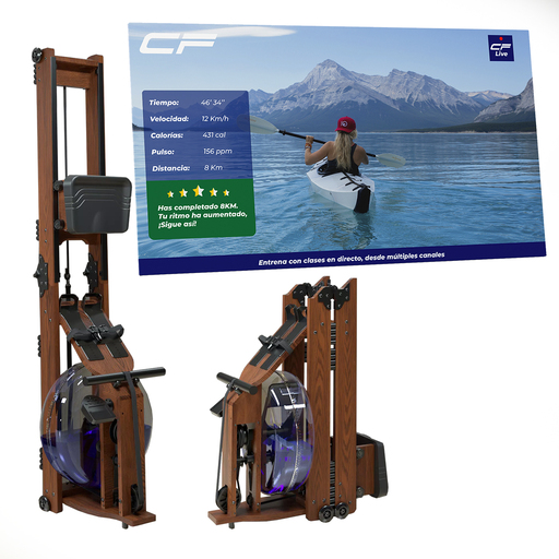 Rudermaschine aus Holz - Elegance CF 3.0