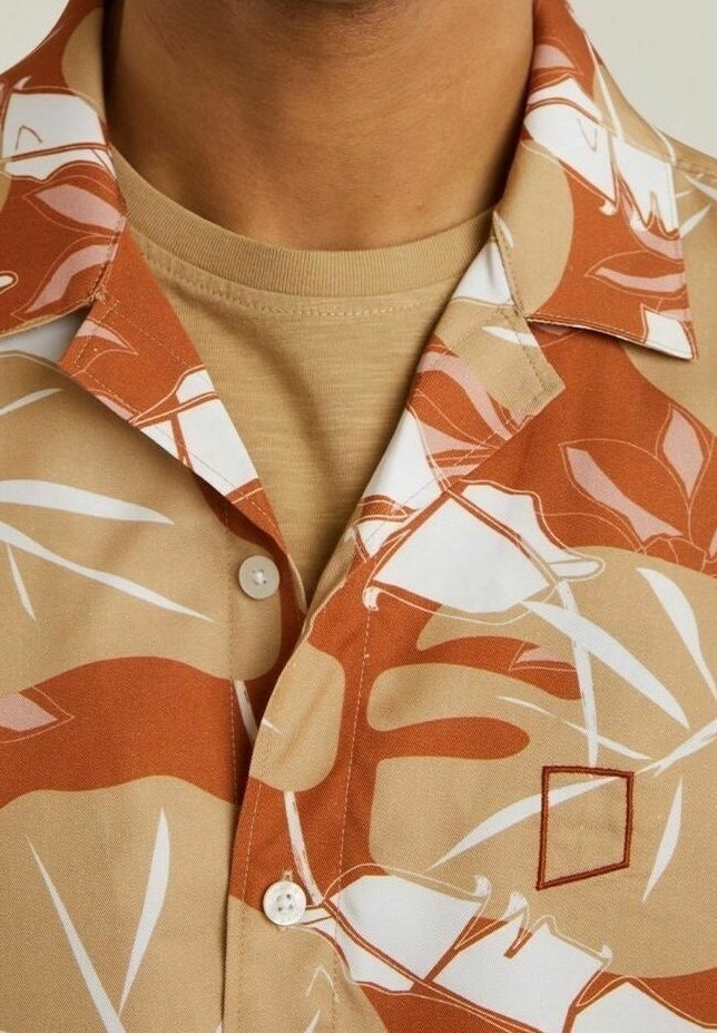 Chasin' shirt - bruin
