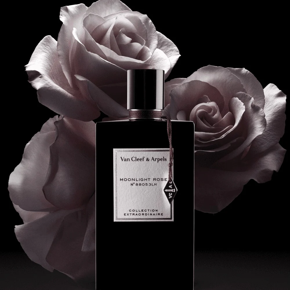 Collection Extraordinaire Moonlight Rose - Eau de Parfum, Eau de Parfum Unisex