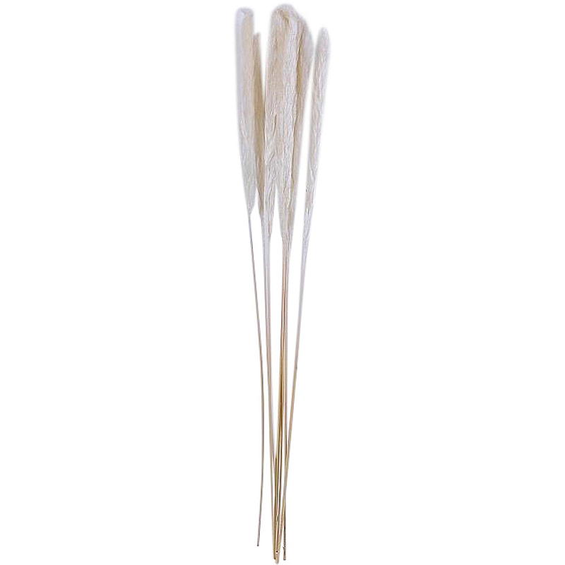 Hjemme sugerør 8 stk. 70-75 cm