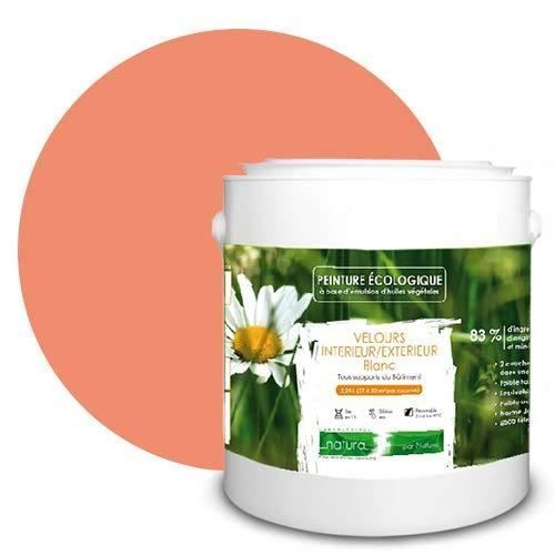 Luonnon korallinpunainen ympäristöystävällinen maali sisä- ja ulkokäyttöön samettisella pinnalla - 2,5 l - 33 m