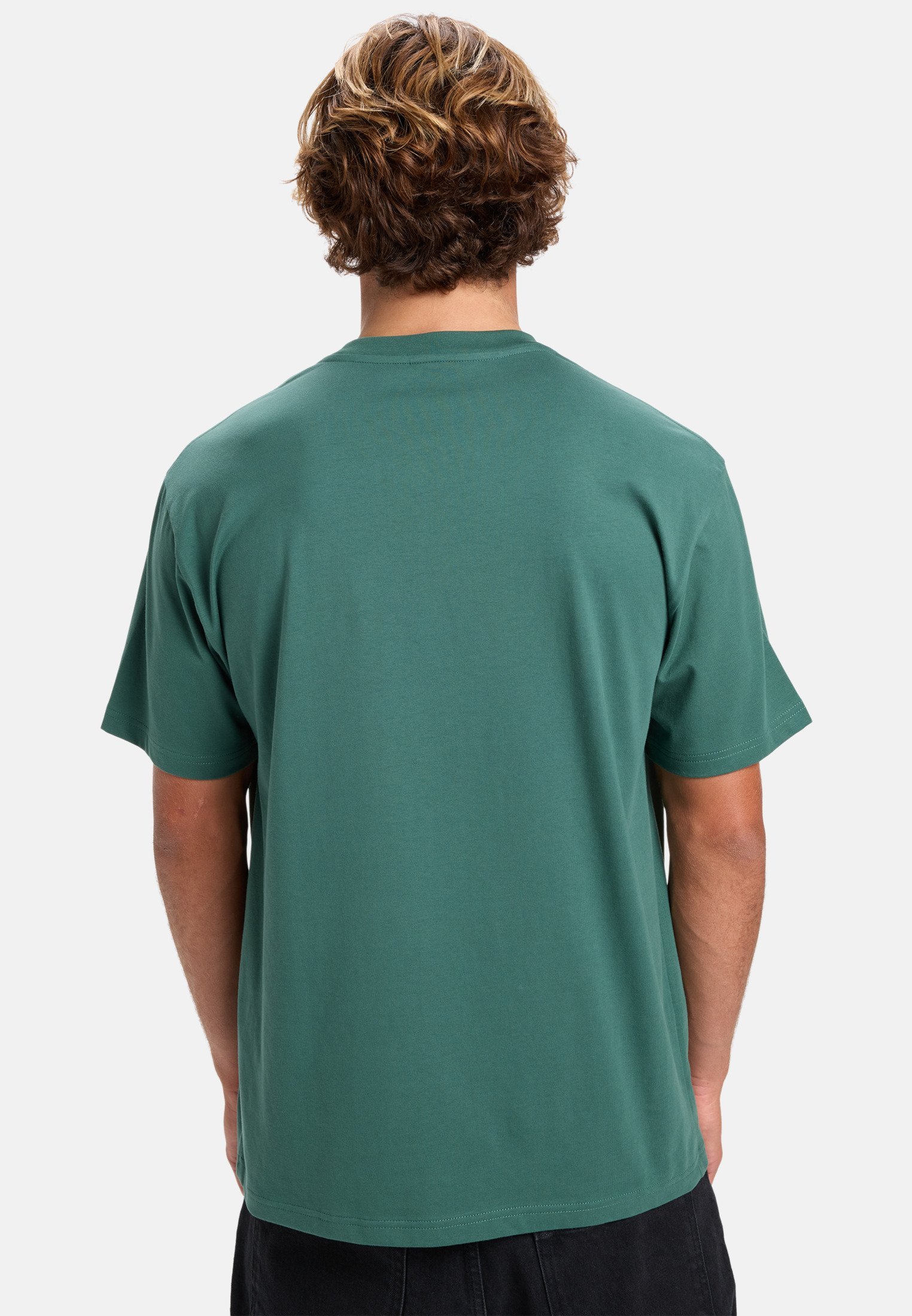 Quiksilver ADDIO - T-shirt stampata - verde trekking