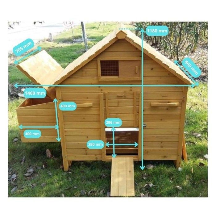 Pollaio Bassette XL per 6-10 galline - Poulailler Direct - Marrone - 10 animali