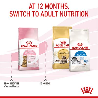 Royal Canin Kitten Sterylizowane