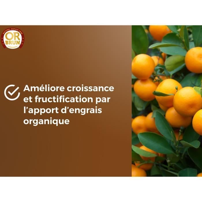 Sustrato para cítricos y plantas mediterráneas - OR BRUN - OBRTAGR6U - 6L - Olivos, palmeras y cícas