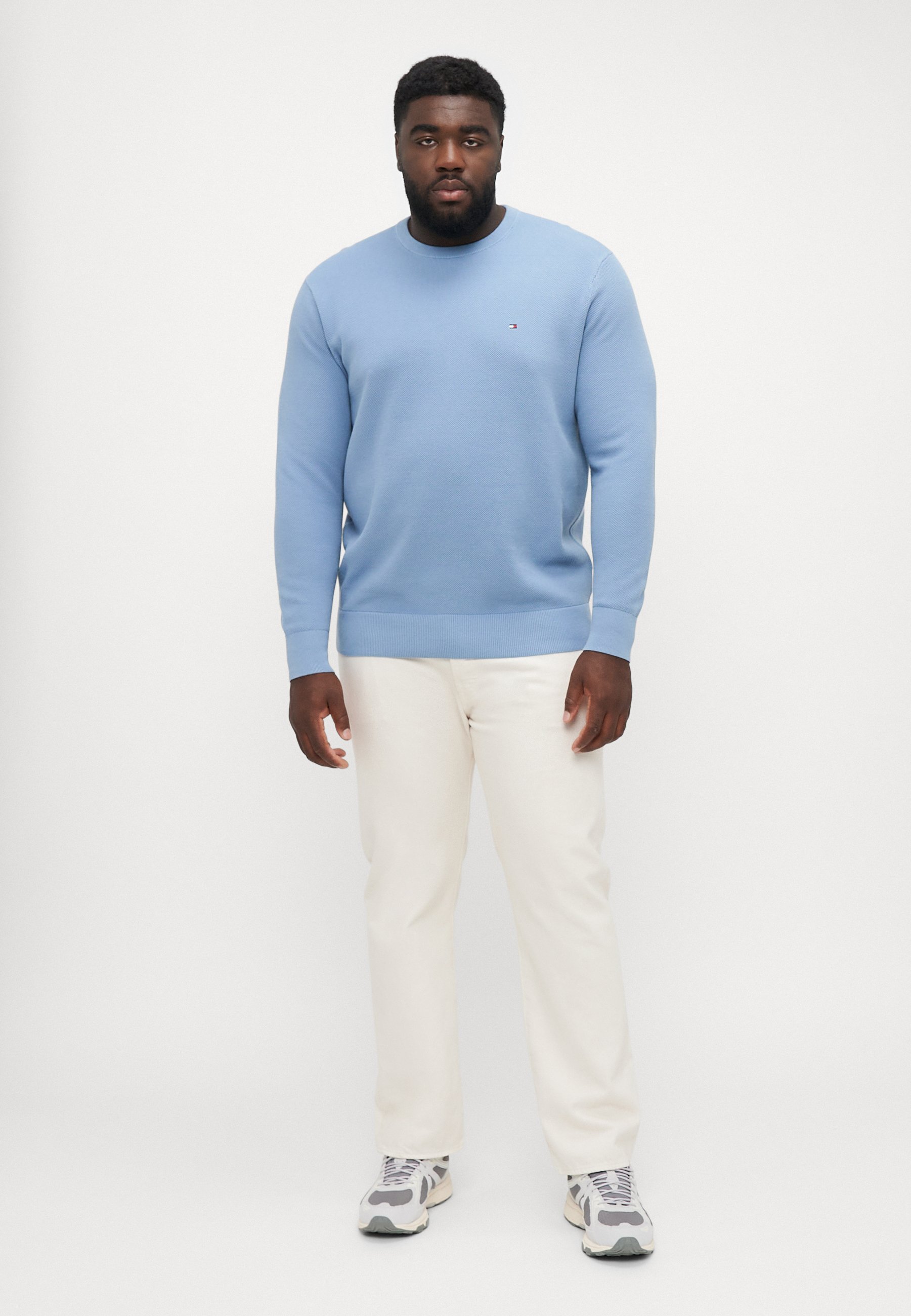 Tommy Hilfiger ESSENTIAL STRUCTURE CREW NECK - Trui - frisblauw