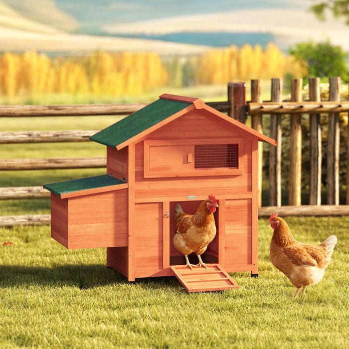 Poulailler - PawHut - pondoir perchoir toit en bitume étanche fenêtre de ventilation - bois - 113,5x67,5x95,5cm - orange