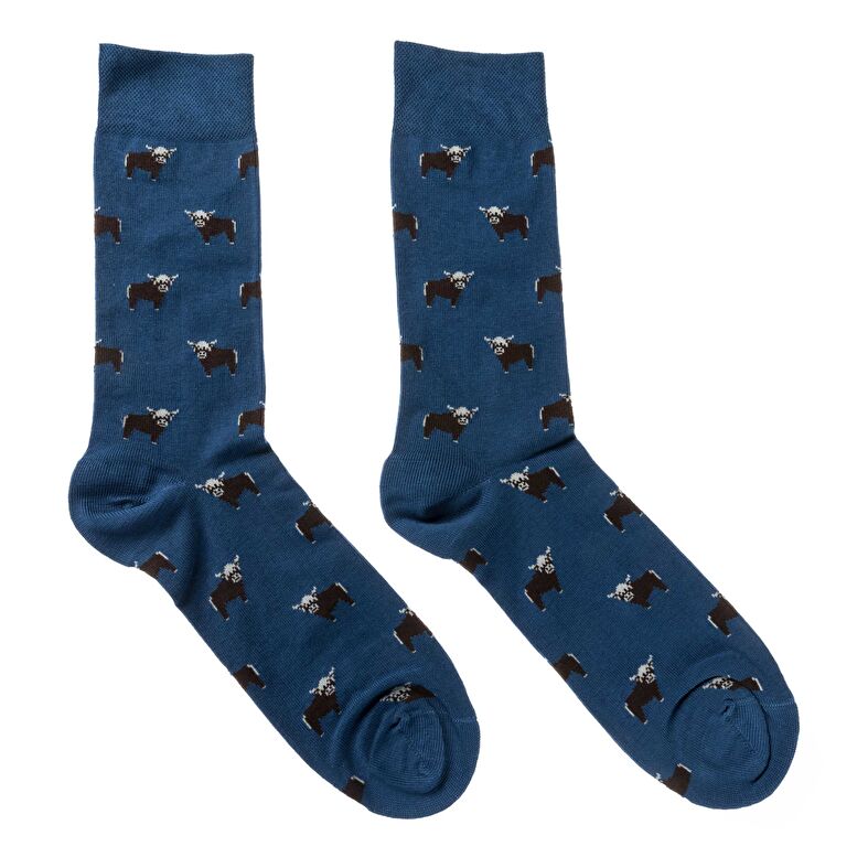  Herrensocken und Strumpfhosen Blau